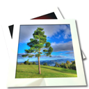 ilustrativní fotografie